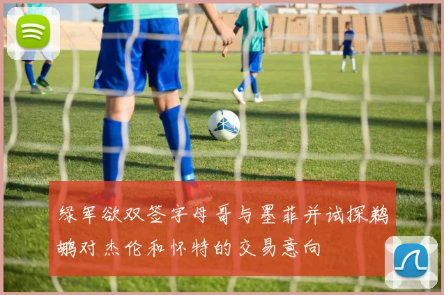 绿军欲双签字母哥与墨菲并试探鹈鹕对杰伦和怀特的交易意向